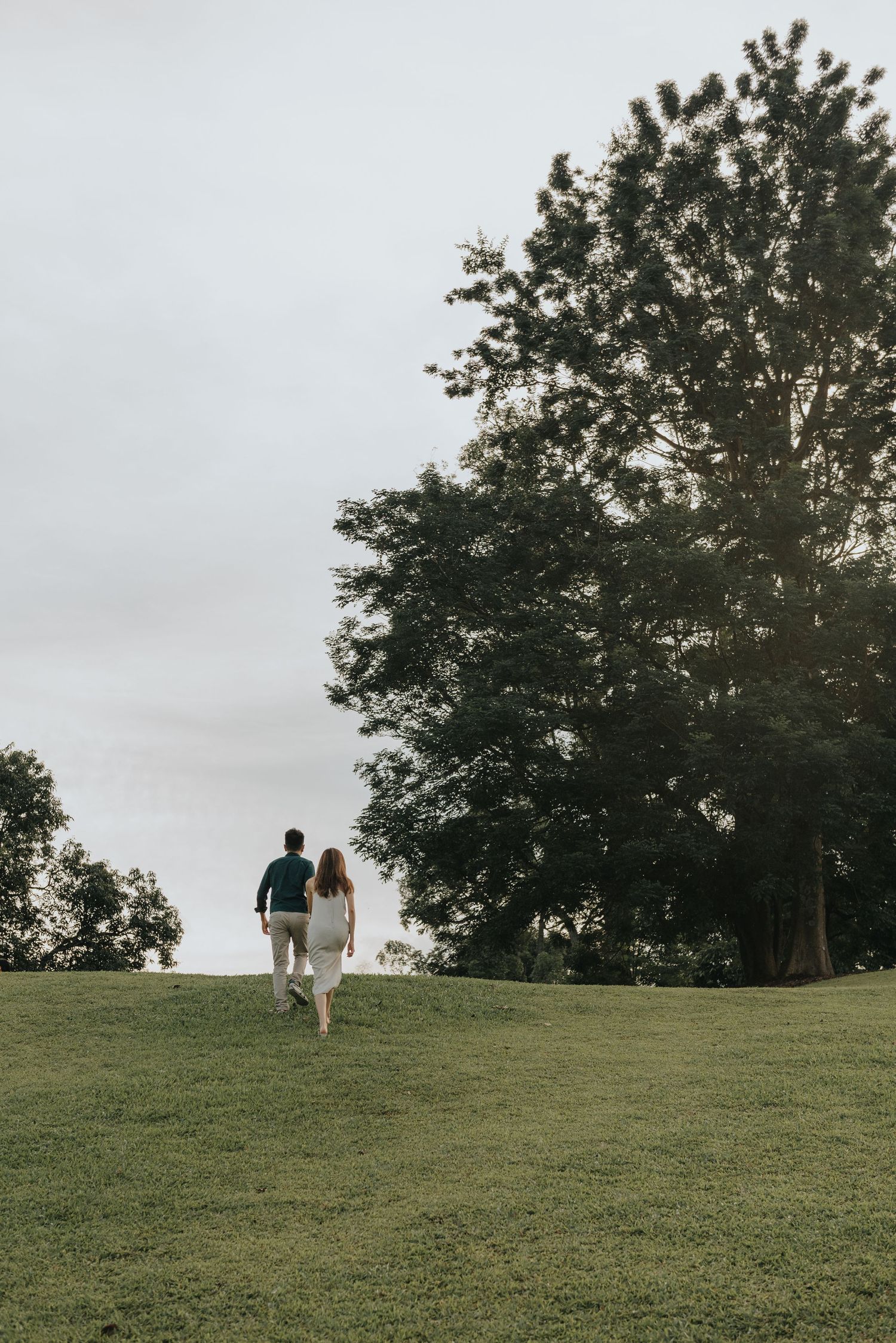 A couple walks up a grassy hillside together under tall trees on an overcast day.
