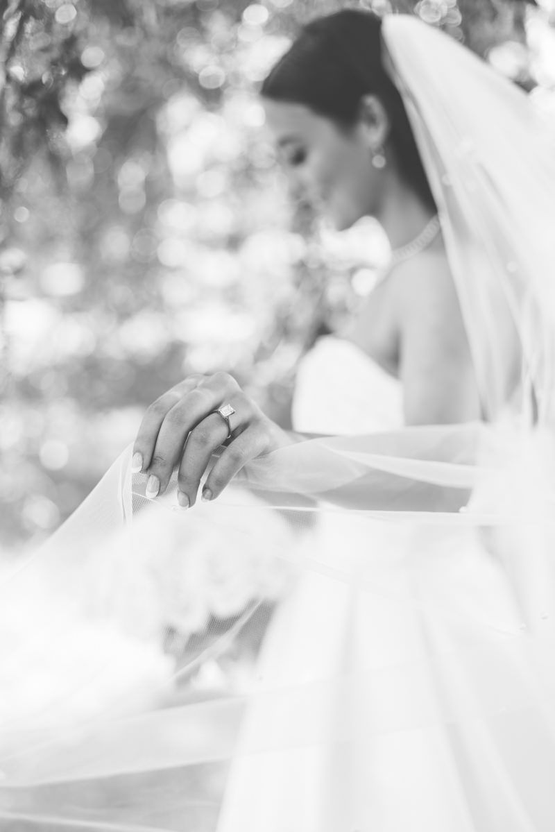 Sea Island Avenue oaks captured in timeless, editorial-style wedding photography.