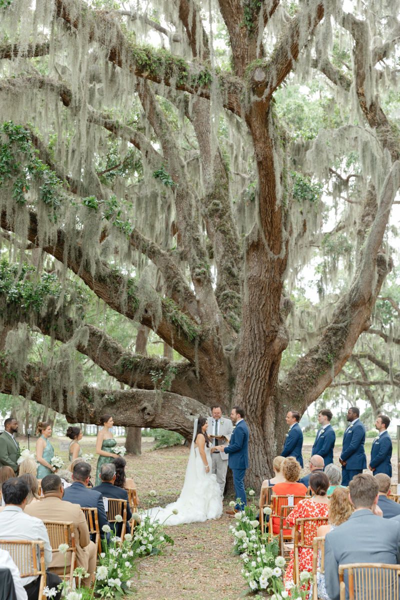 Savannah Lowcountry wedding ceremony under live oak trees with Spanish moss, captured by Southern wedding photographer.