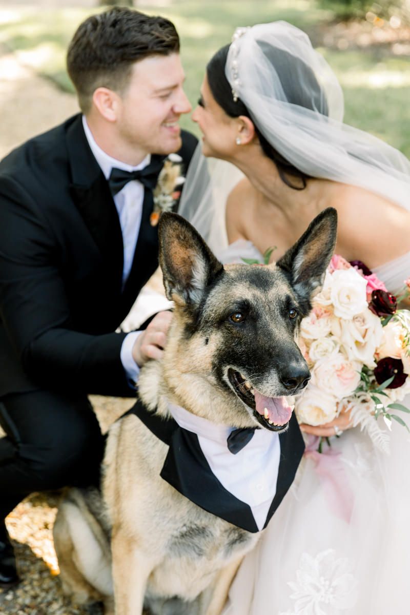 Stylish wedding dog in tux, candid photo inspo from St. Simons Island wedding captured by Georgia wedding photographer.