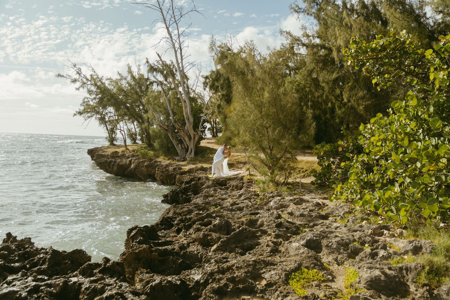 A scenic rocky coastline with green foliage and sparkling ocean waters on a bright sunny day.