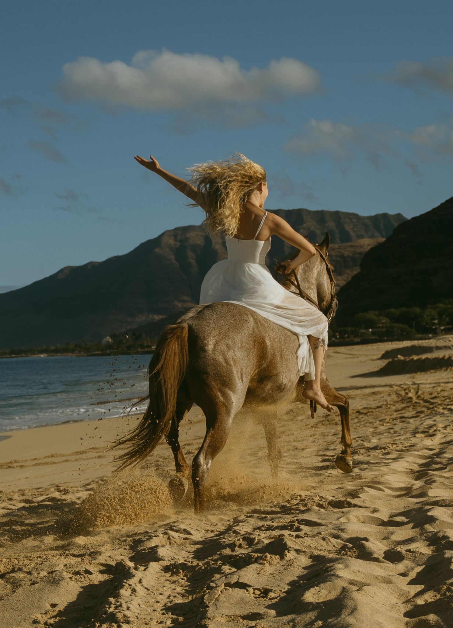 A horse and rider kick up sand while galloping across a beautiful beach with mountains in the background.