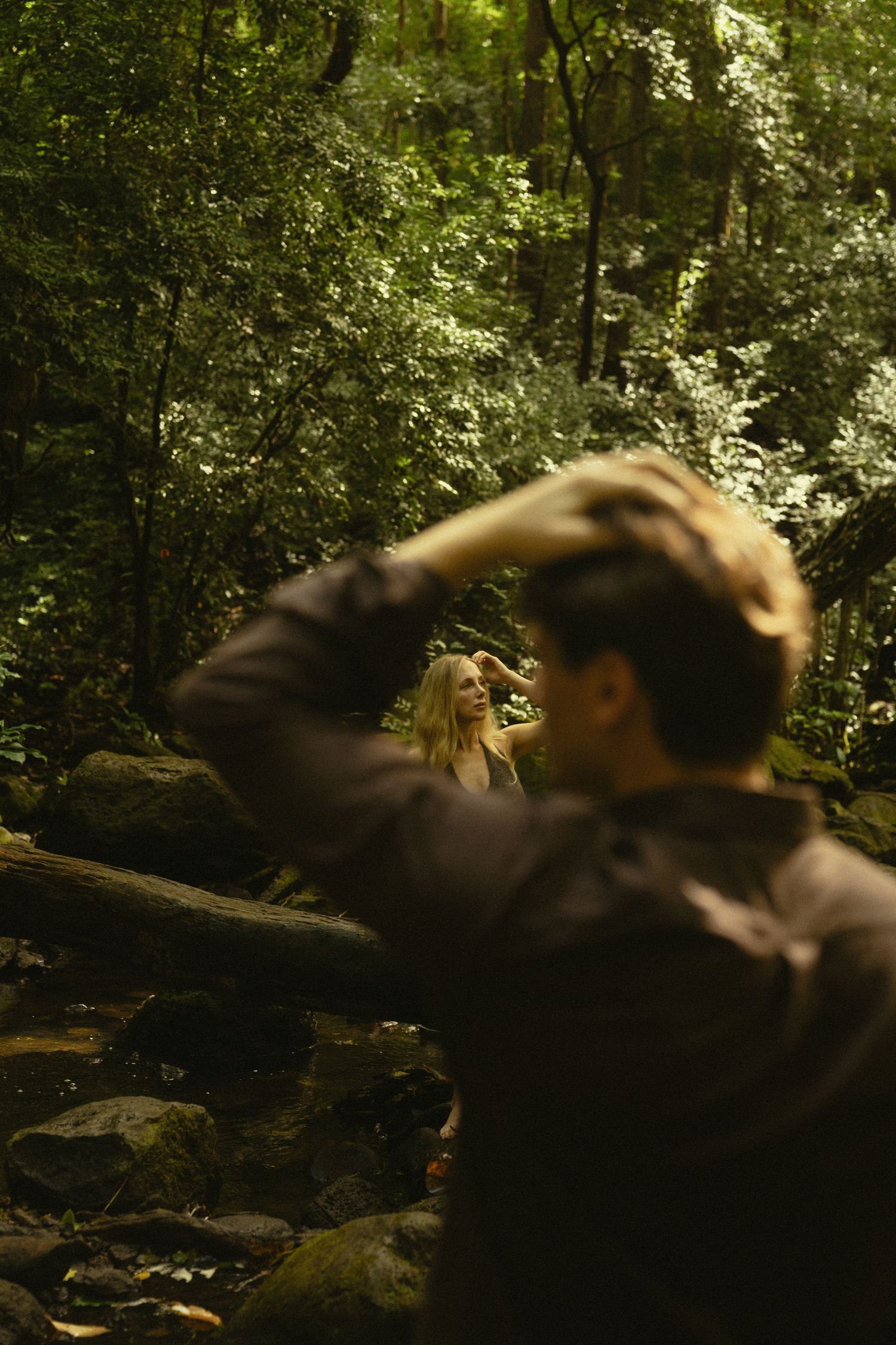 Sunlit forest photography session with dappled light filtering through dense foliage.