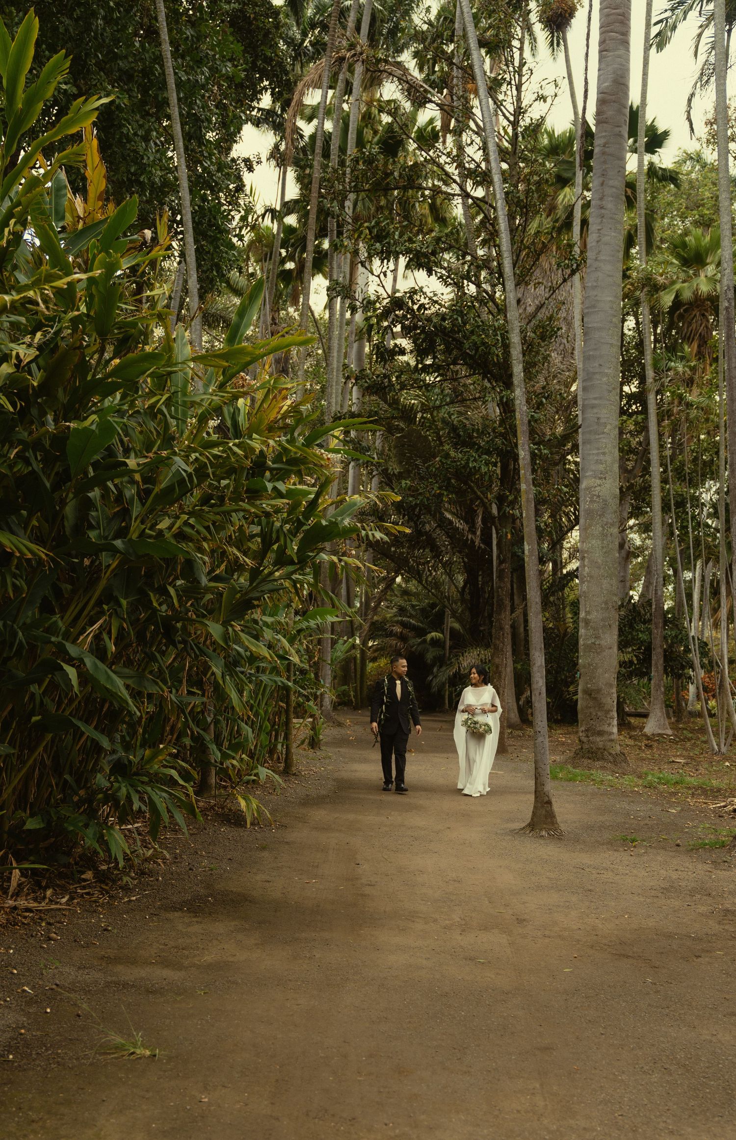 Two people walk along a winding dirt path through a lush tropical palm garden in warm sepia tones.