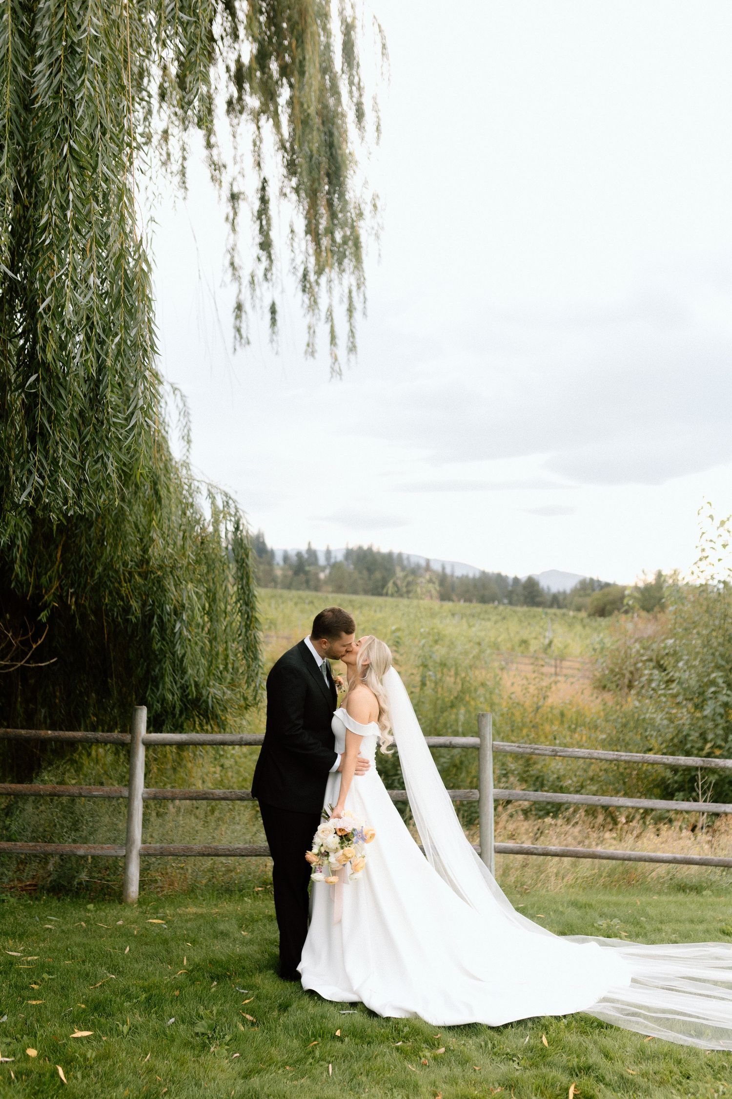 A romantic couple shares a tender moment under a weeping willow tree with a rustic wooden fence and meadow in the background.