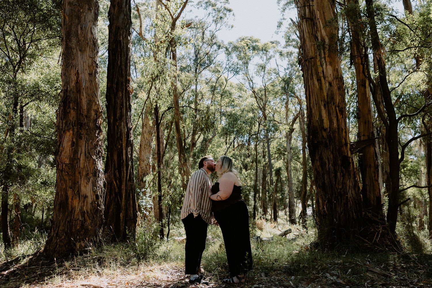 Romantic forest engagement photoshoot of a couple kissing between towering gum trees in a natural bushland setting.