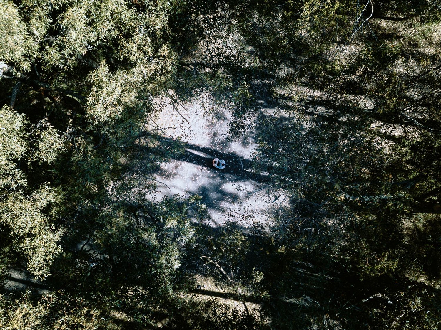 Unique drone-style overhead shot of an engaged couple standing together in a lush forest clearing for a rustic photoshoot.