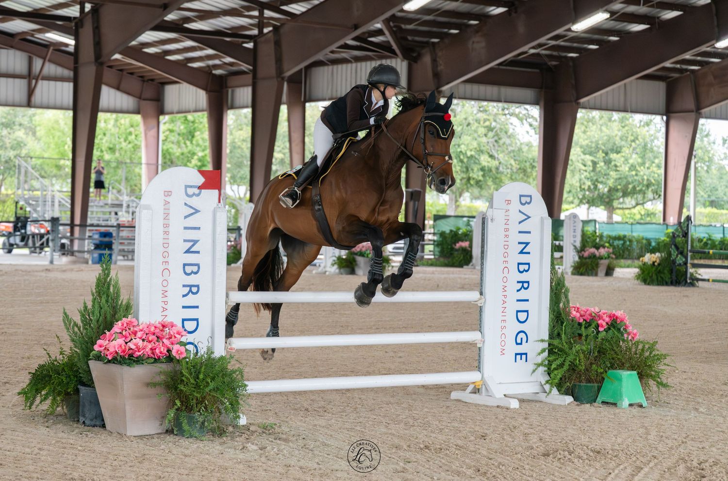 Rider on chestnut horse jumping over a colorful fence at Bainbridge equestrian show jumping competition.