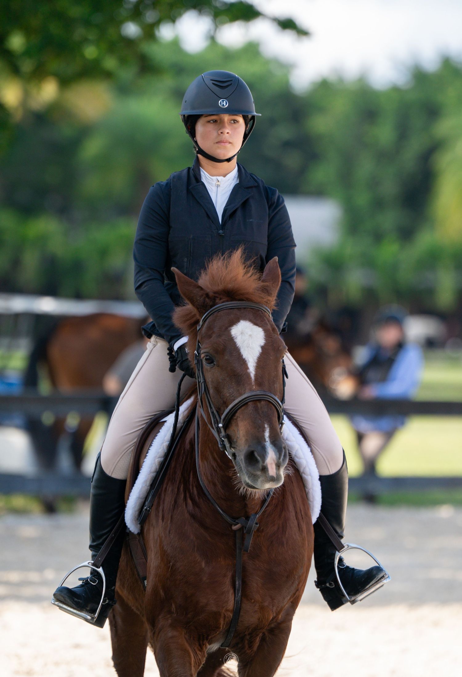 Female equestrian in navy jacket and helmet riding a chestnut horse with a blaze at an outdoor arena.