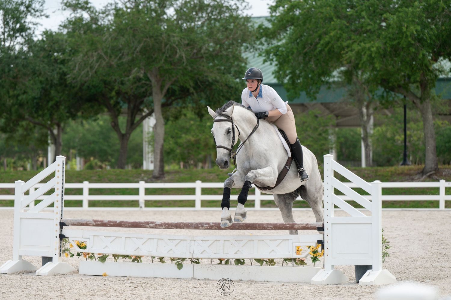 A rider on a gray horse jumping over a white fence obstacle in an outdoor equestrian arena surrounded by trees.