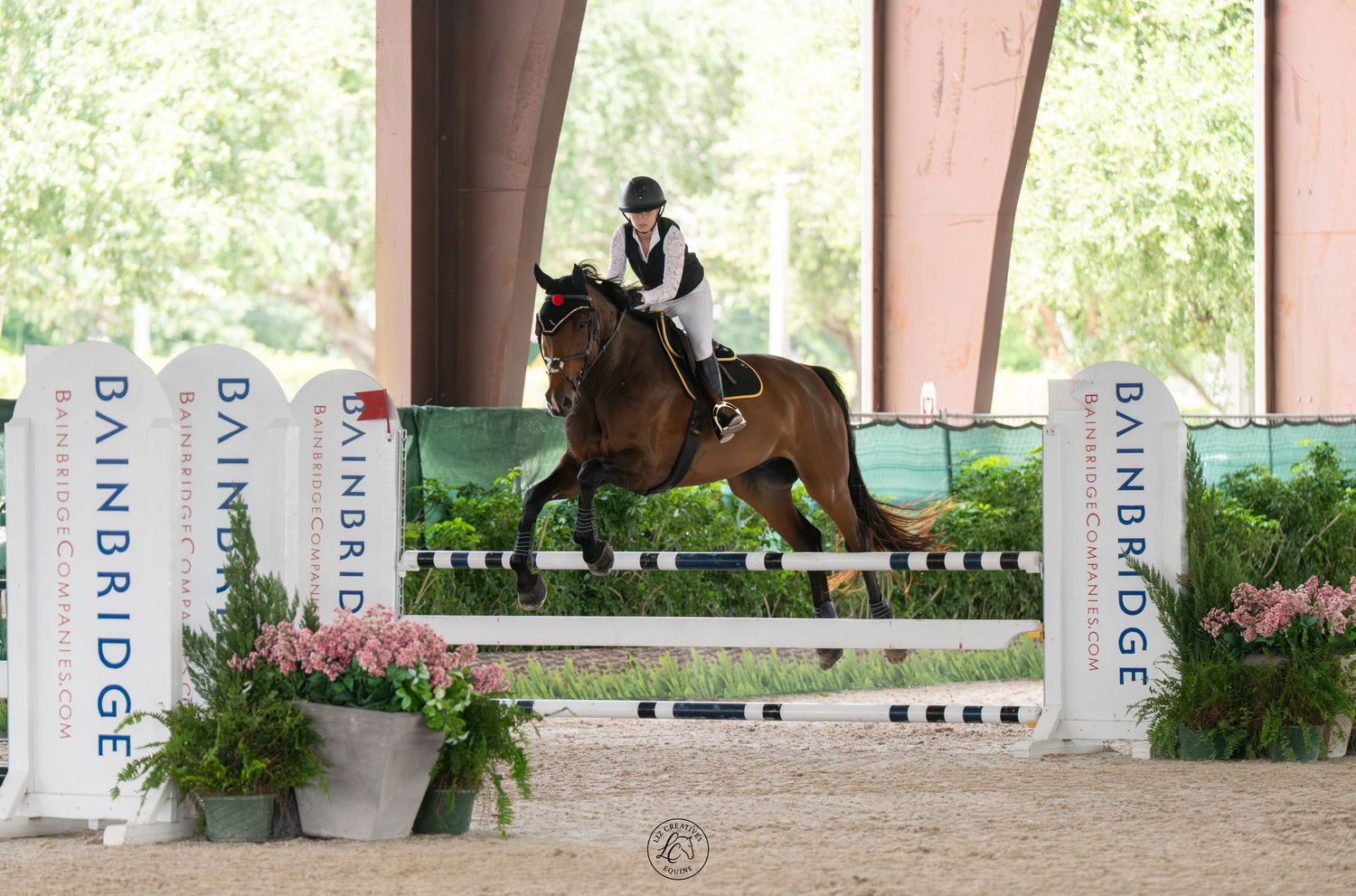 Equestrian rider on chestnut horse cantering past Bainbridge sponsored fence in indoor show jumping arena.