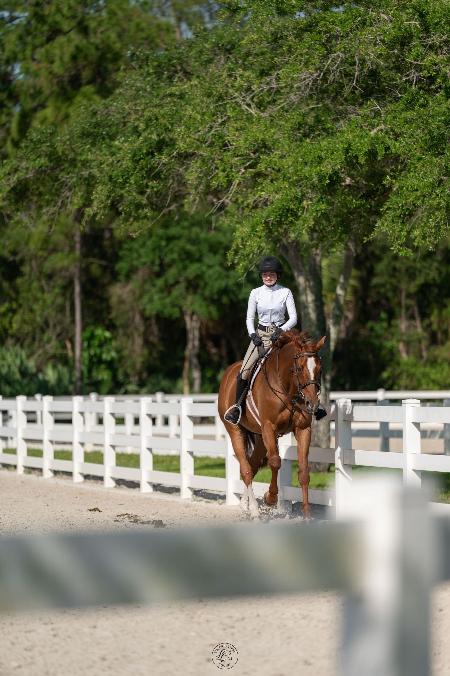 Young equestrian rider in white shirt and helmet riding chestnut horse in sandy arena with white fence.