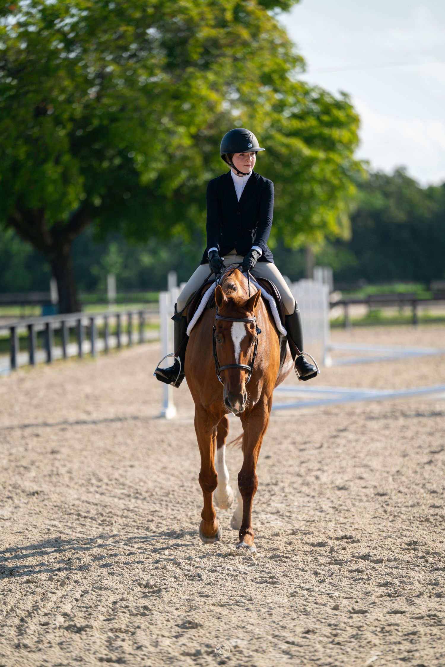 A rider in black equestrian attire on a chestnut horse in a sandy dressage arena surrounded by green trees.