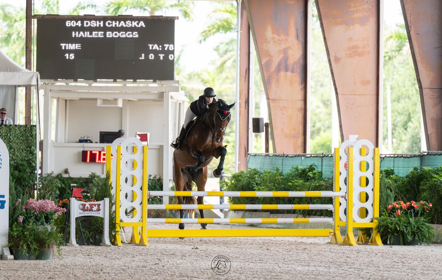Equestrian rider Hailee Boggs on horse DSH Chaska jumping over colorful rails at an outdoor show jumping competition.