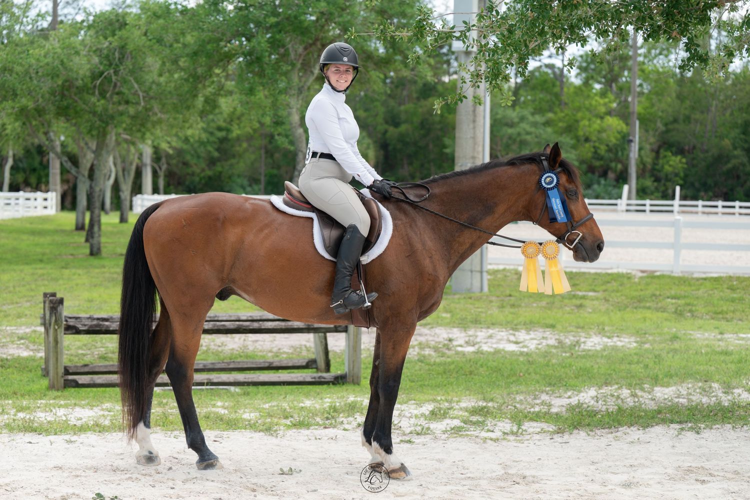 Smiling equestrian rider sitting on a bay horse with a blue ribbon in an outdoor riding arena.