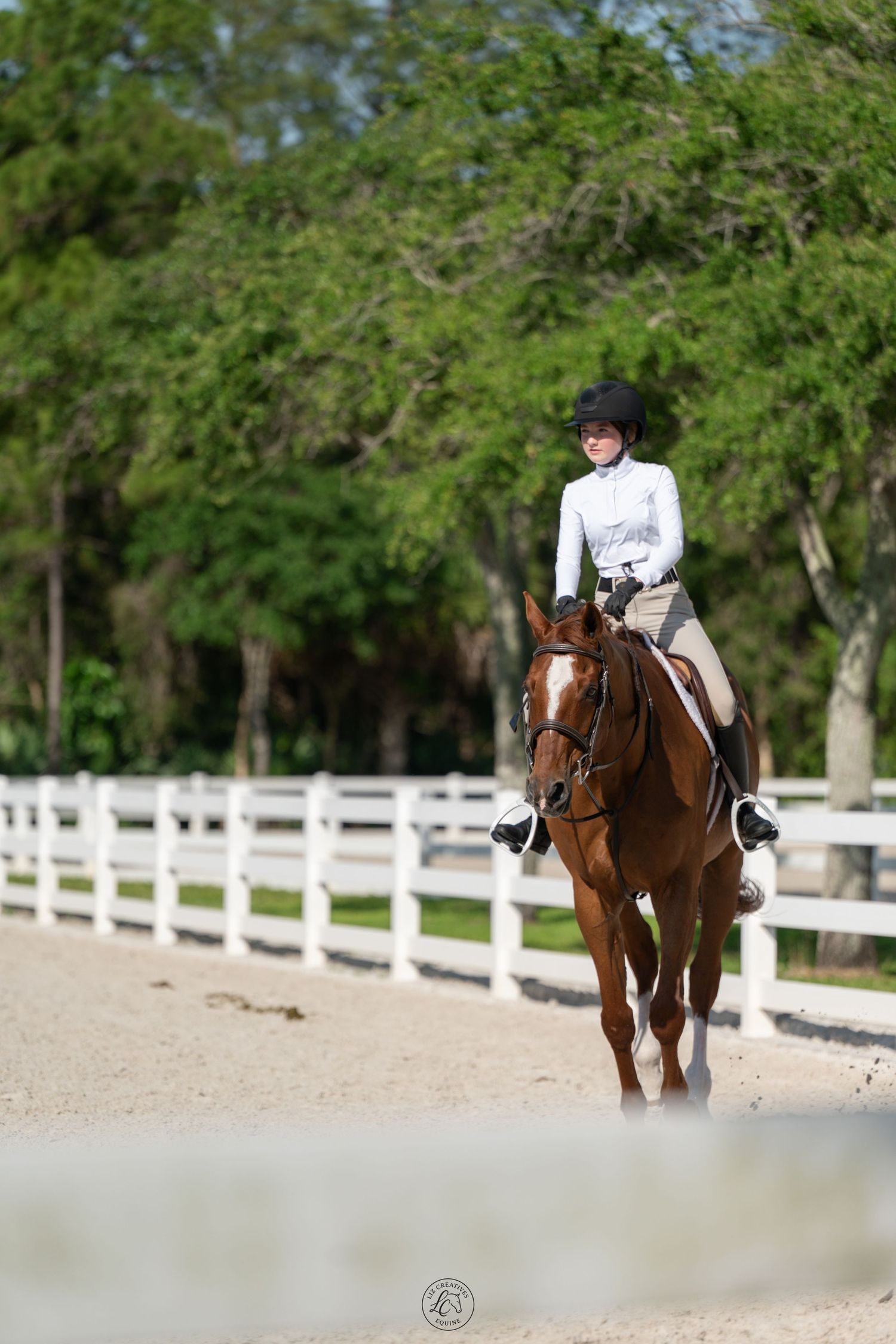 Equestrian rider in white show attire on chestnut horse in sandy arena with white fence.