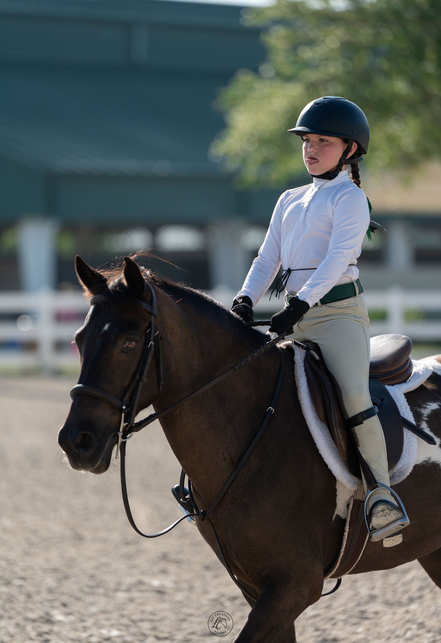 Female equestrian in black helmet and white shirt riding dark horse in outdoor show arena.