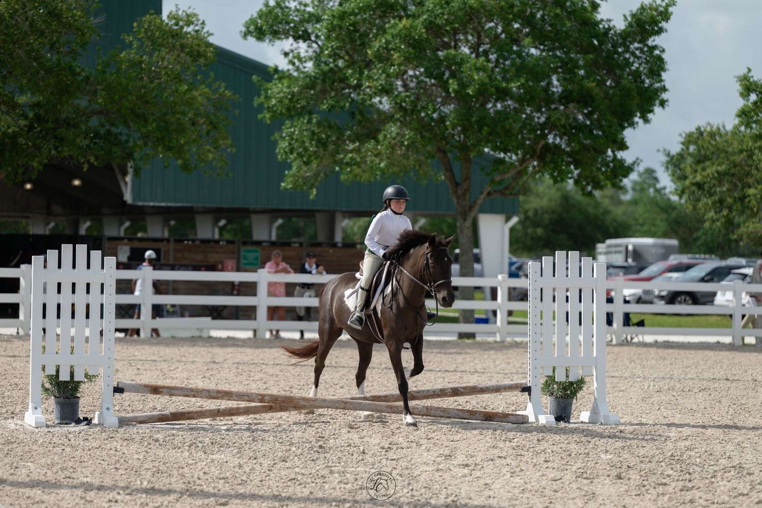 Equestrian rider on dark horse performing in white-fenced show arena near green building.
