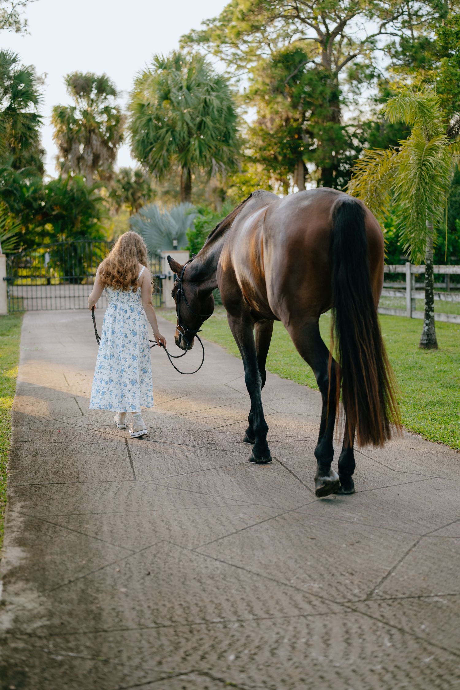 A young girl in a floral dress leads a dark brown horse down a paved path surrounded by palm trees.