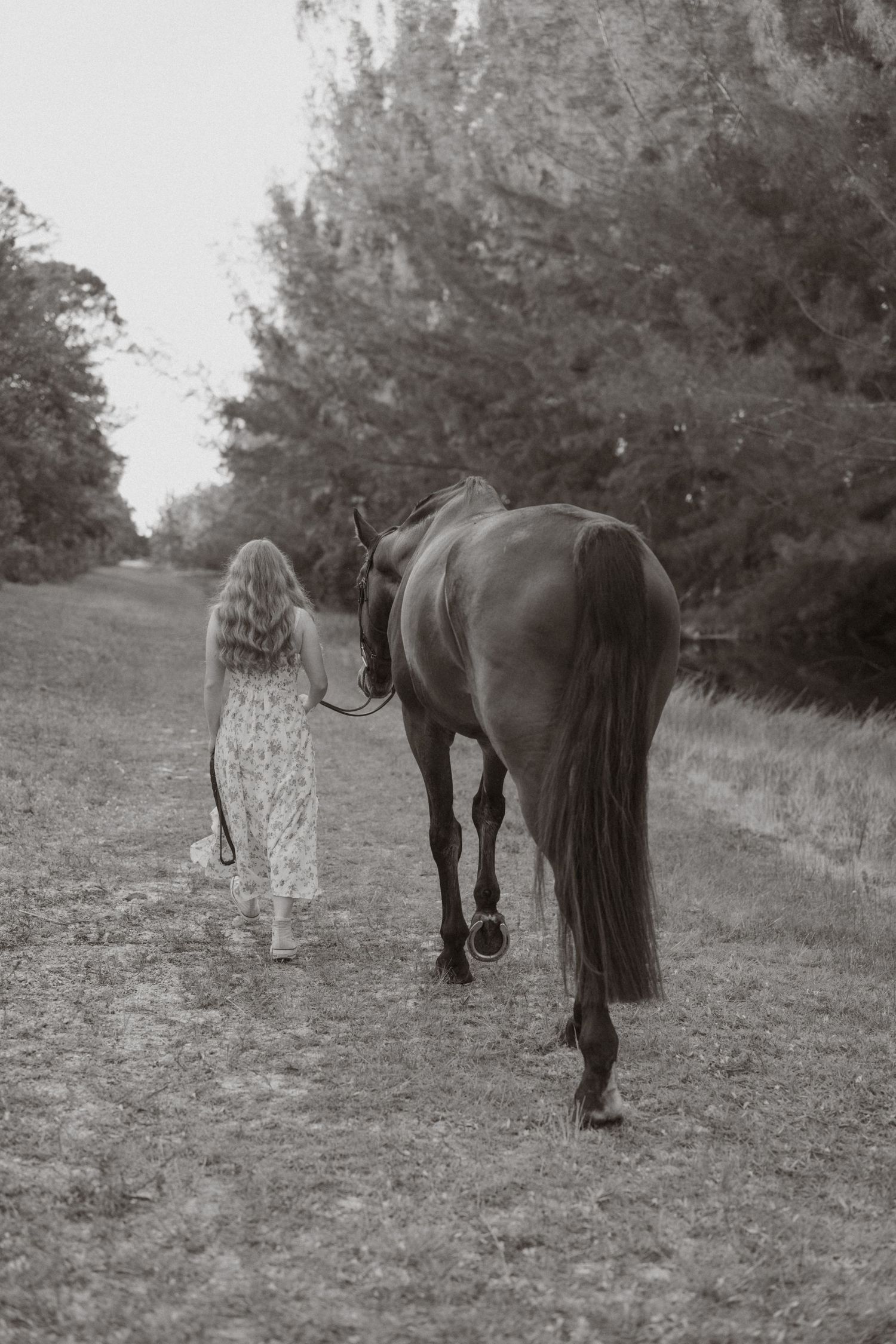 Black and white photo of a girl in a floral dress leading a horse along a tree-lined dirt path.