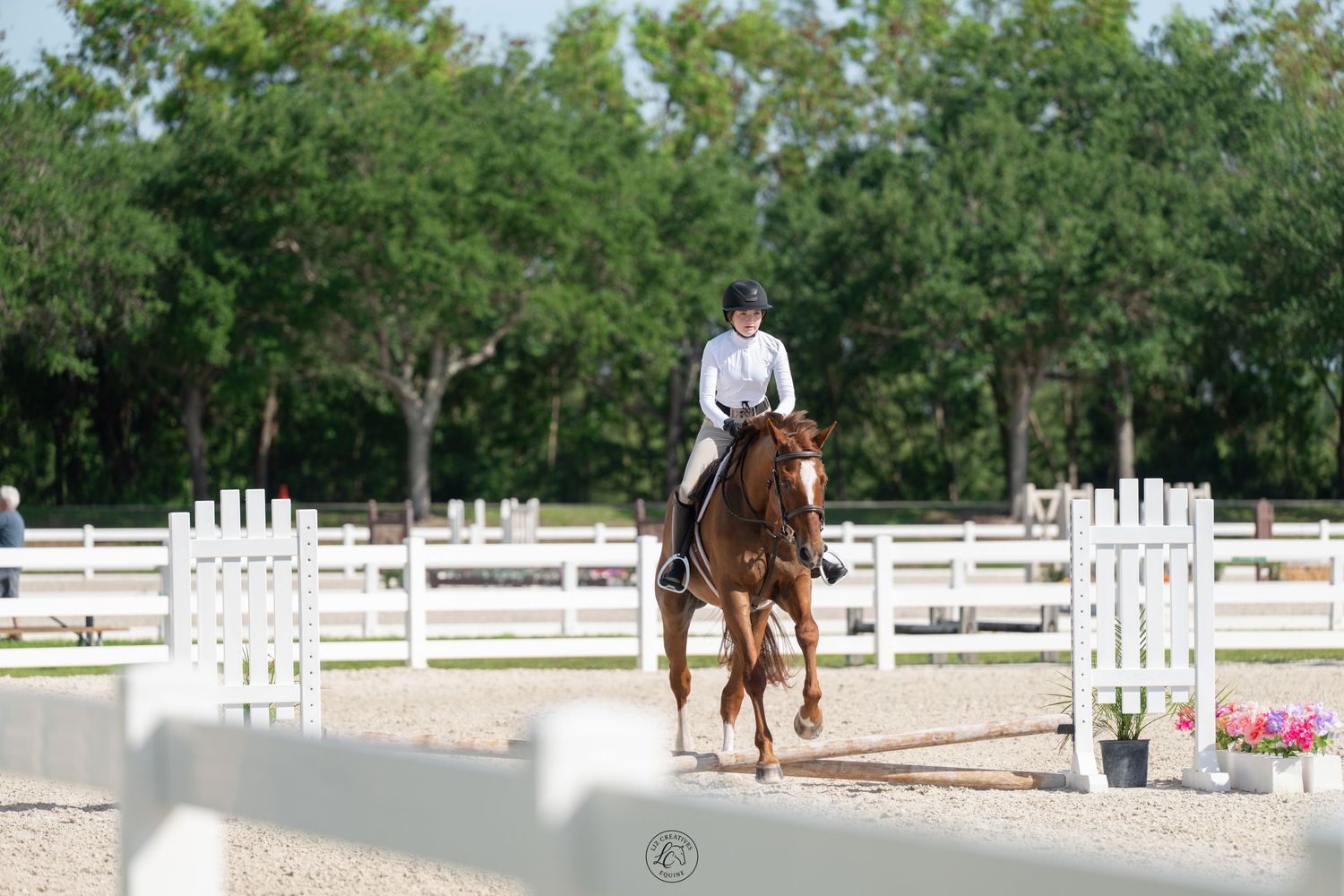Female equestrian in white show shirt riding chestnut horse through decorated jump course in outdoor arena.
