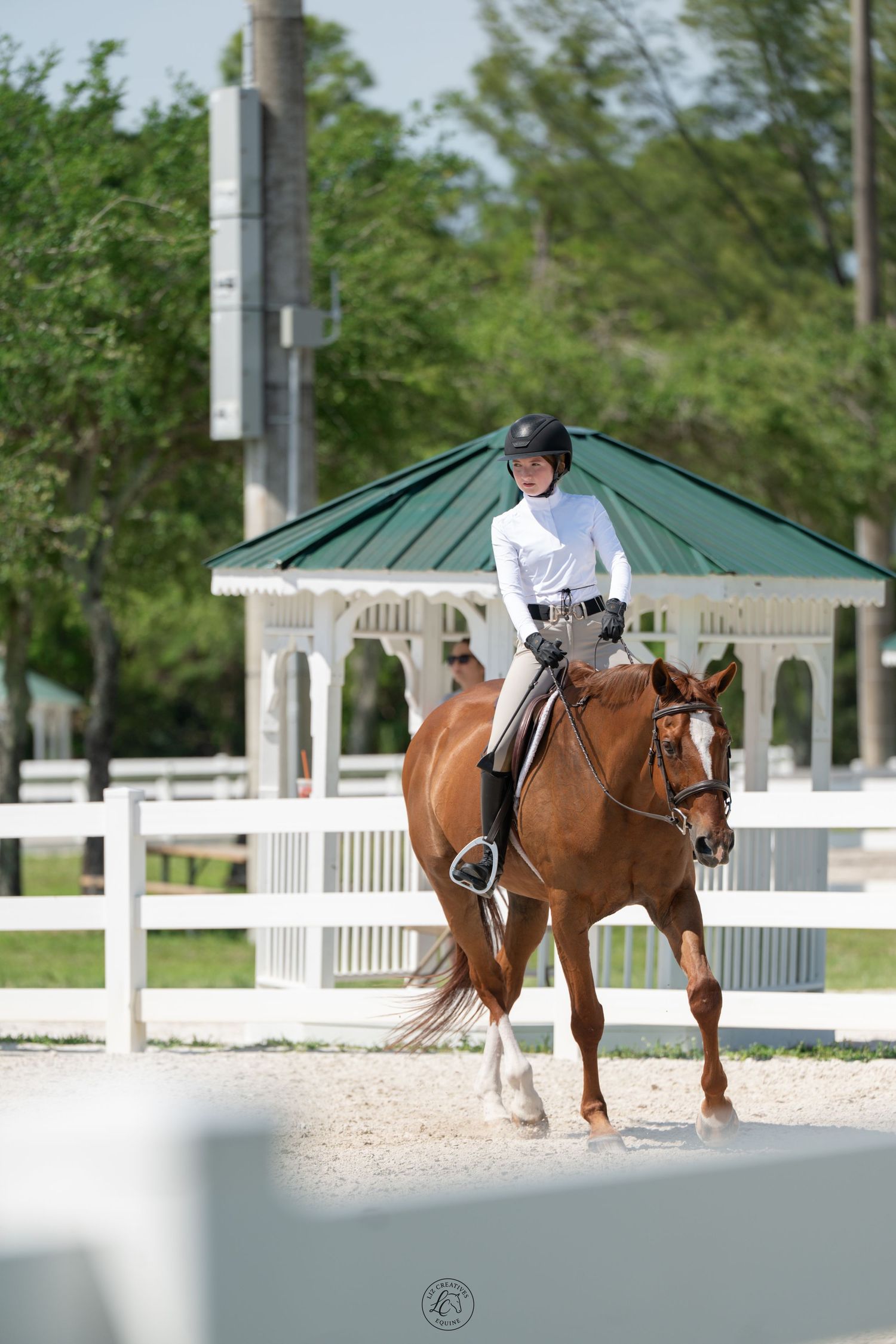 Young equestrian in white shirt riding chestnut horse near white gazebo in sunny outdoor riding arena.