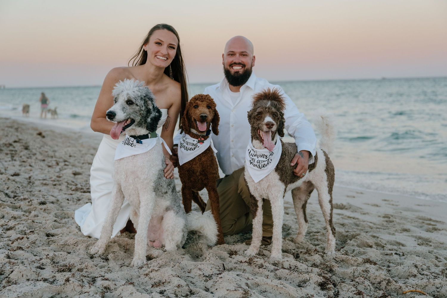Bride and groom posing with three dogs wearing wedding bandanas on sandy beach.