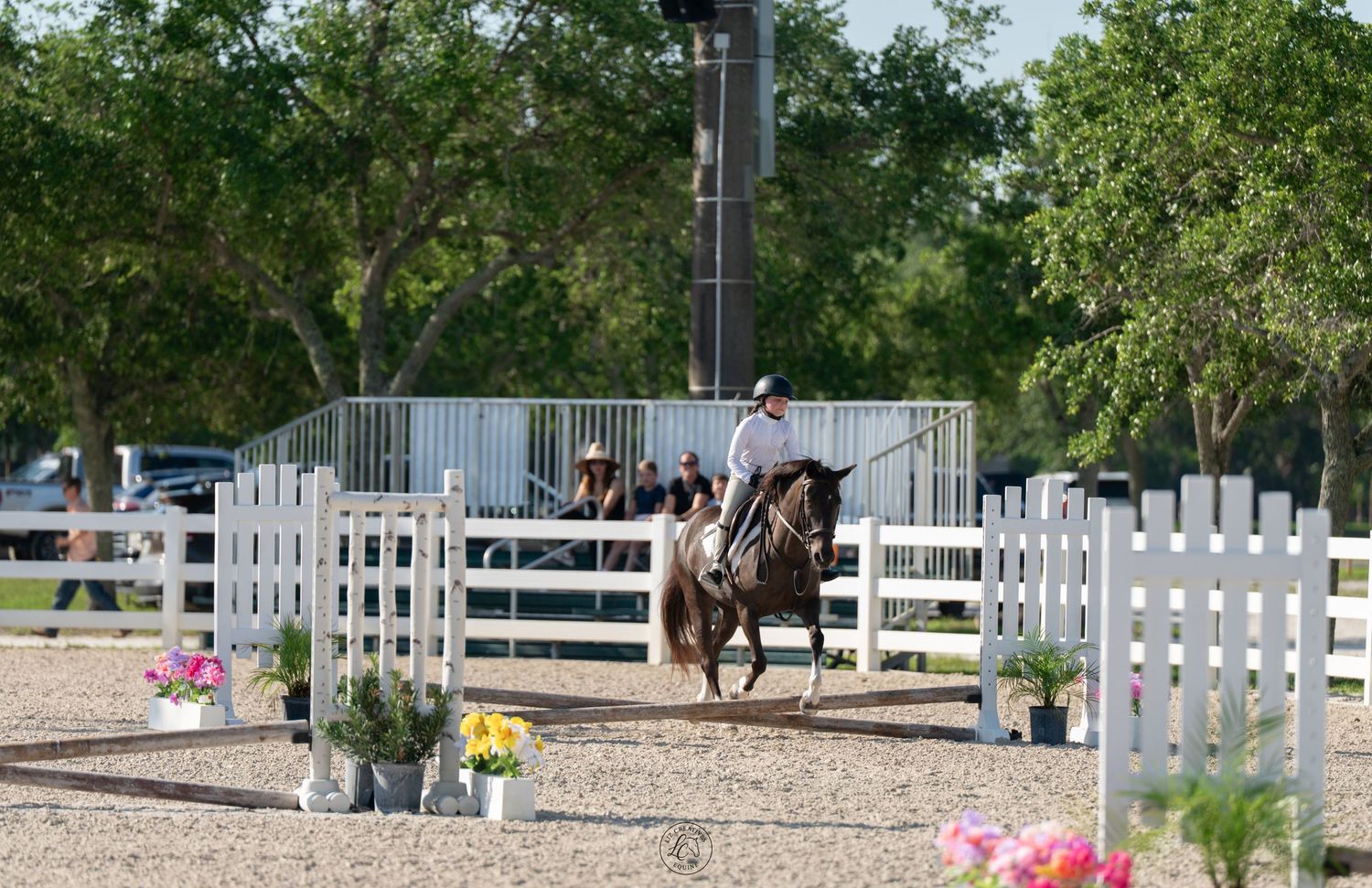 Equestrian rider on dark horse navigating white fence arena with flower decorations.