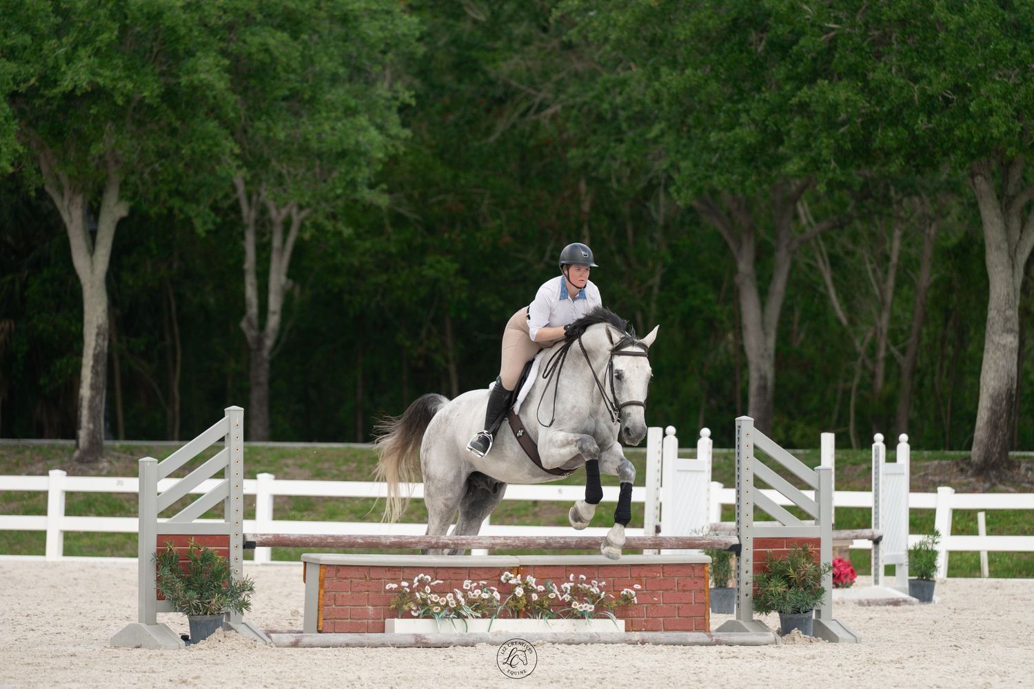 Rider on gray horse jumping over colorful obstacle in sandy equestrian arena surrounded by white fencing.