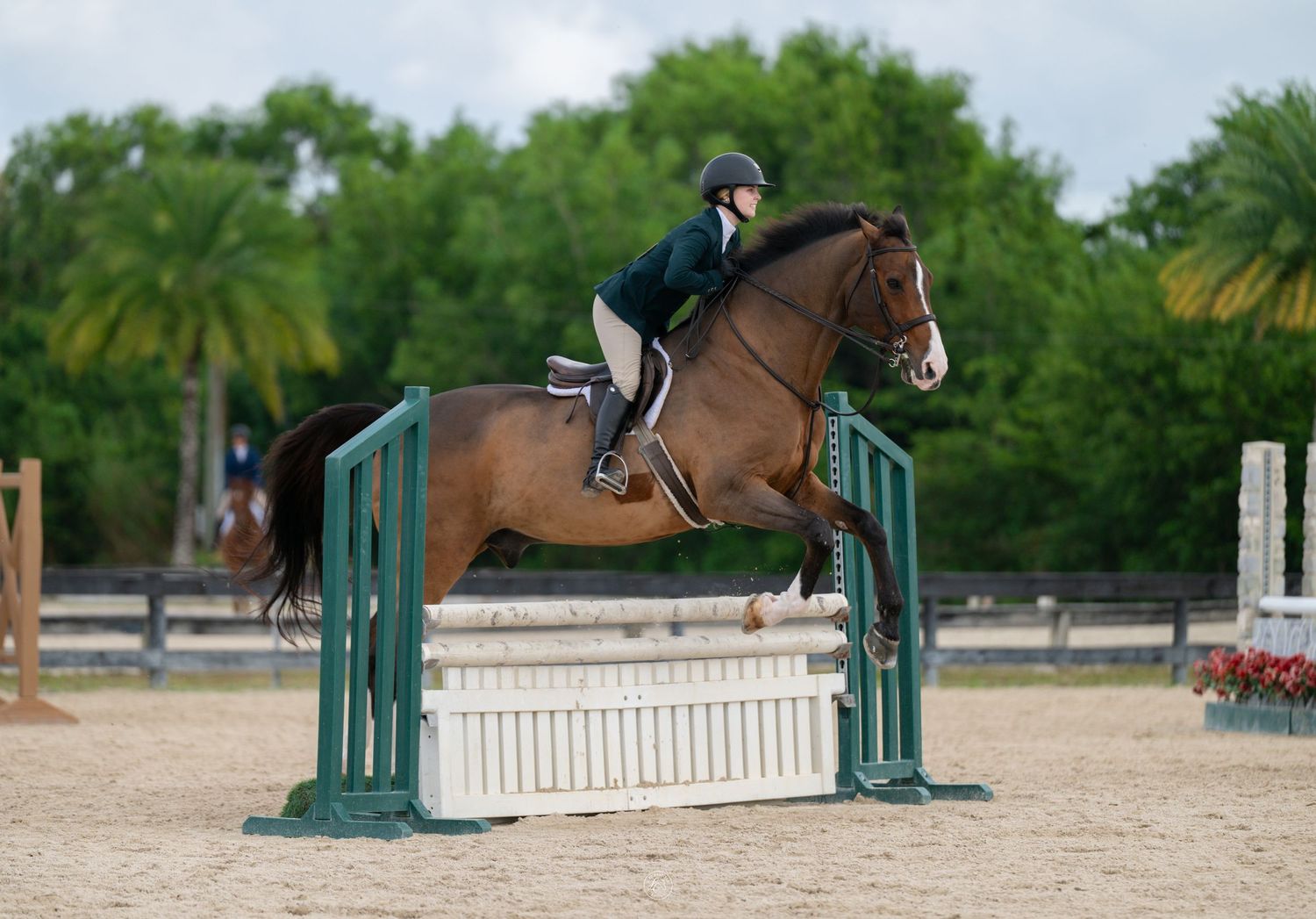 Equestrian rider on bay horse jumping over green and white fence obstacle in sandy outdoor arena.