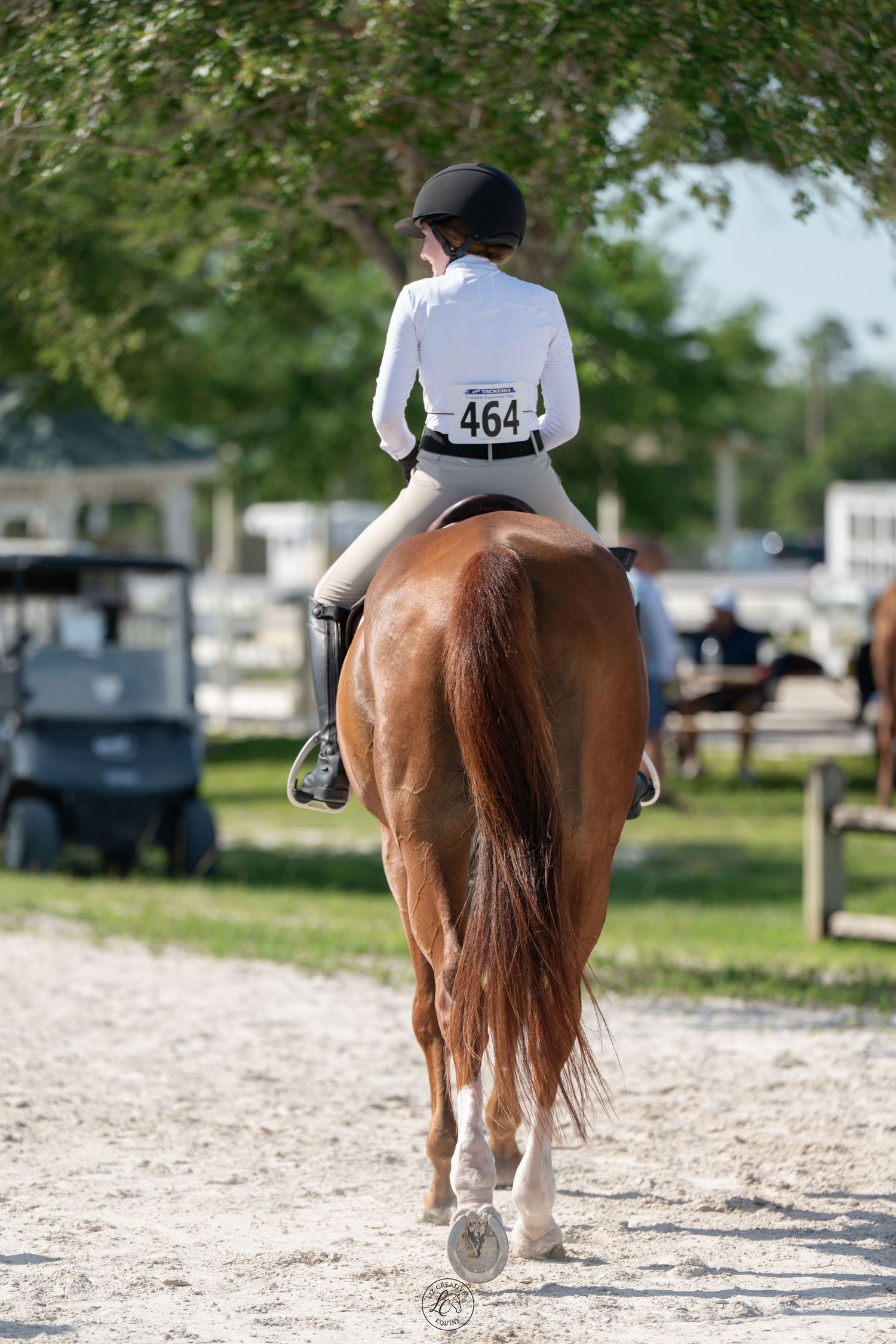 Young equestrian rider in white show jacket riding a chestnut horse from behind at an outdoor competition.