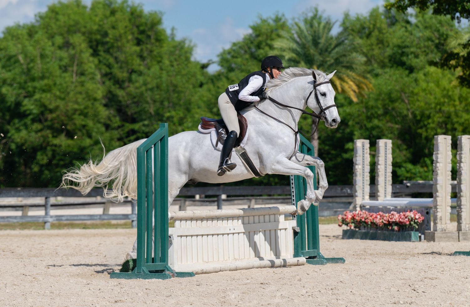 A rider in black and white attire jumps a white horse over a green fence at an equestrian show jumping competition.