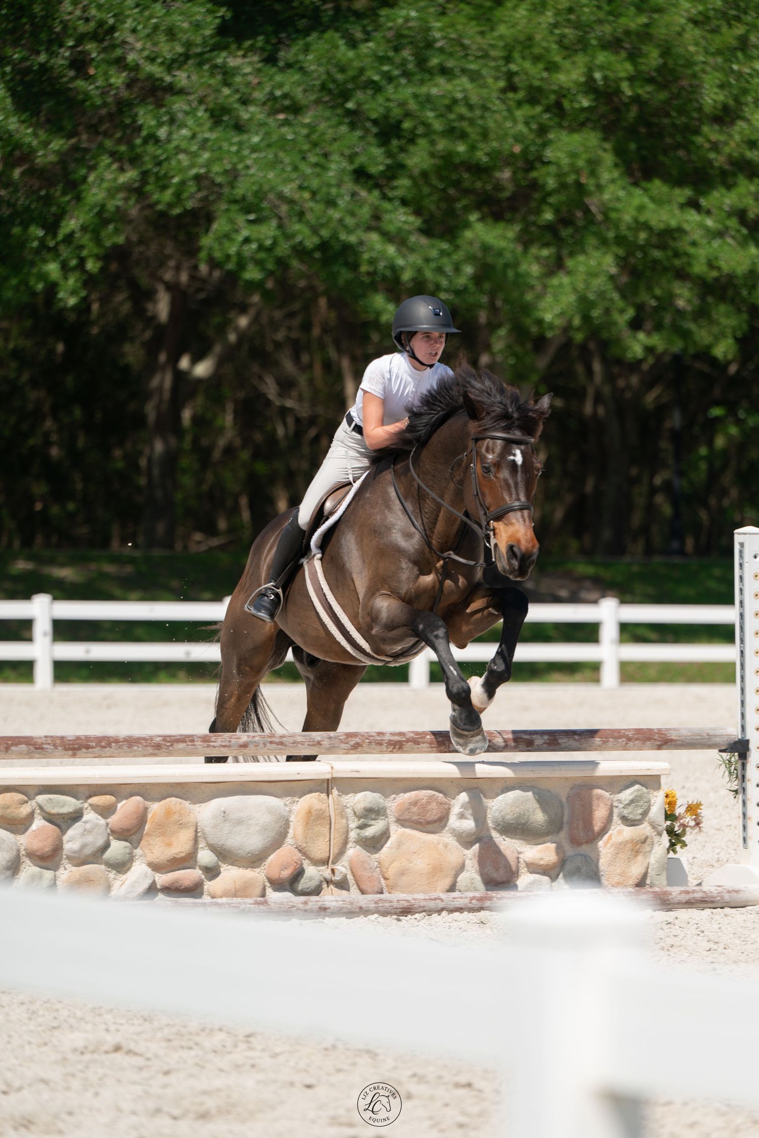 Young equestrian rider jumping dark bay horse over stone wall obstacle in sandy outdoor arena.