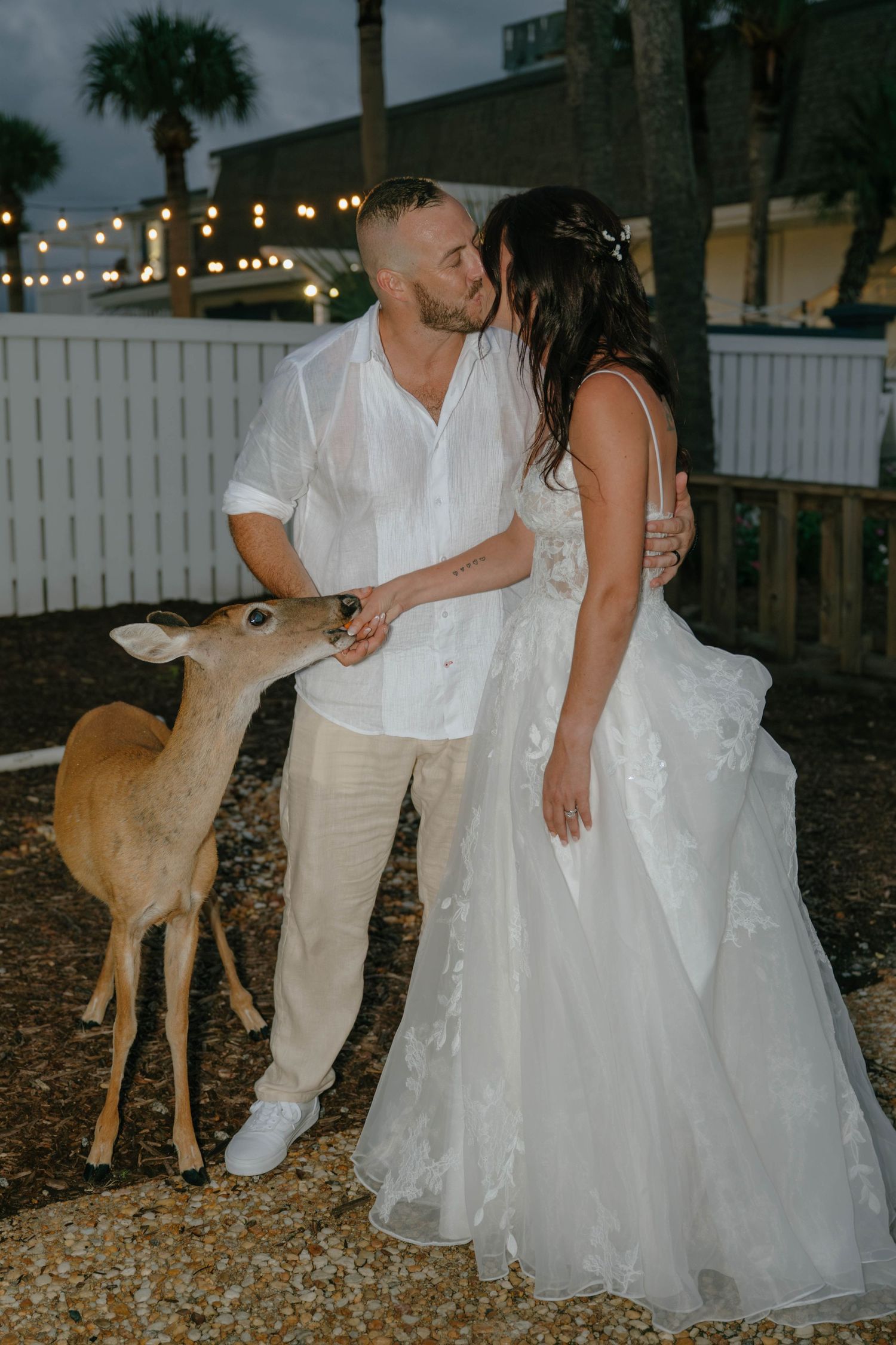 Groom kisses bride while a deer feeds from his hand at an outdoor evening wedding venue with palm trees.
