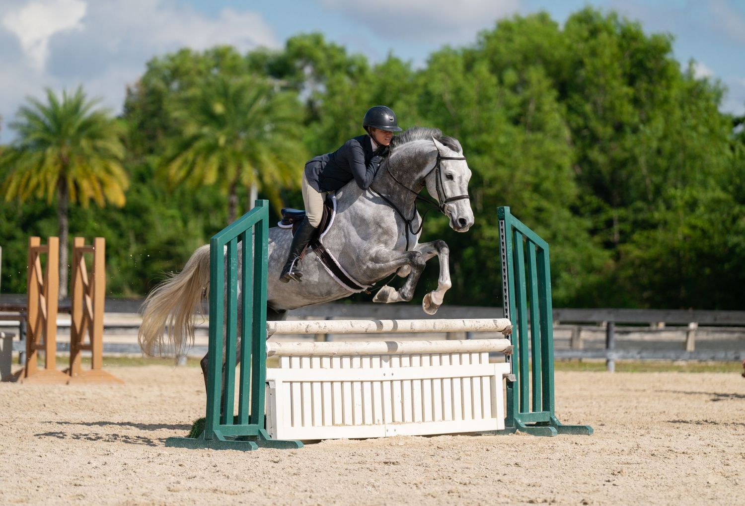 Gray horse and rider jumping a green and white fence obstacle in an outdoor equestrian arena.