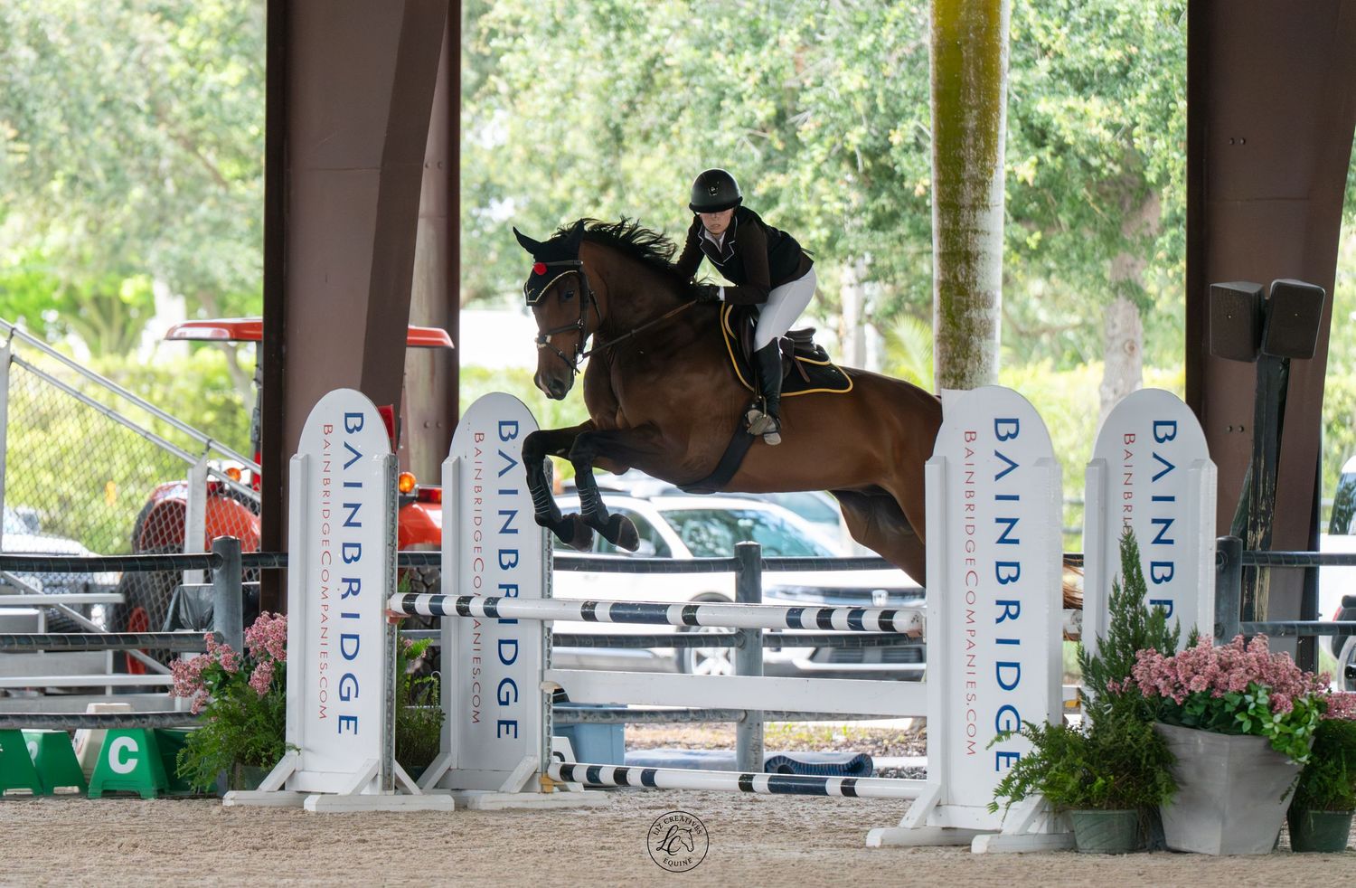 Equestrian rider jumping horse over Bainbridge fence in indoor arena competition.