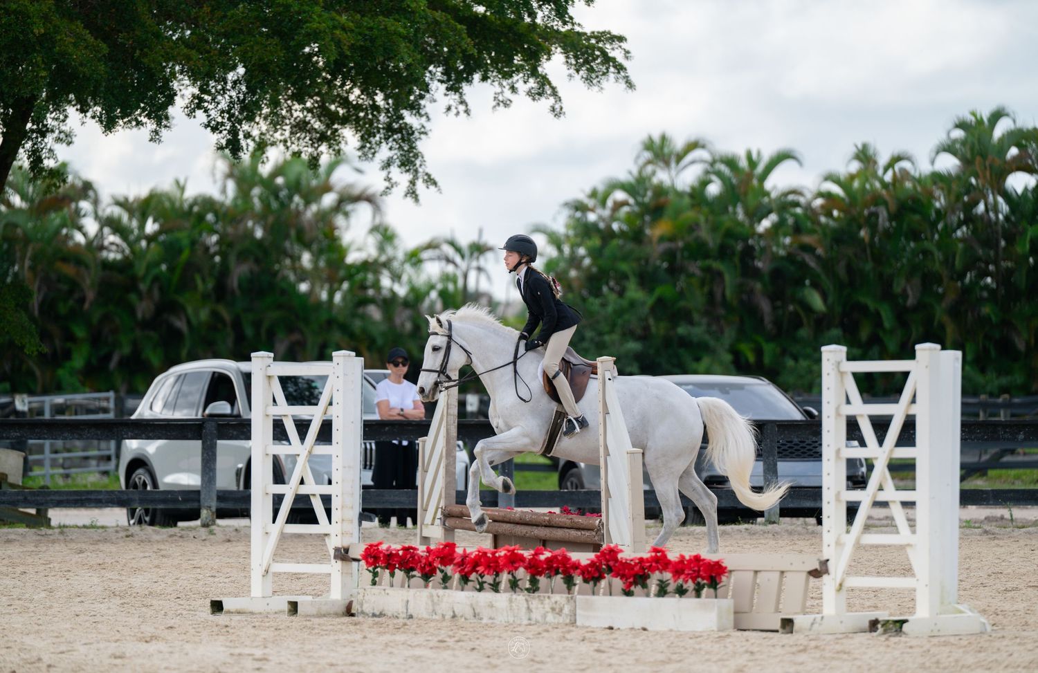 White horse and rider clearing a red and white jump in a sunny outdoor show jumping competition.