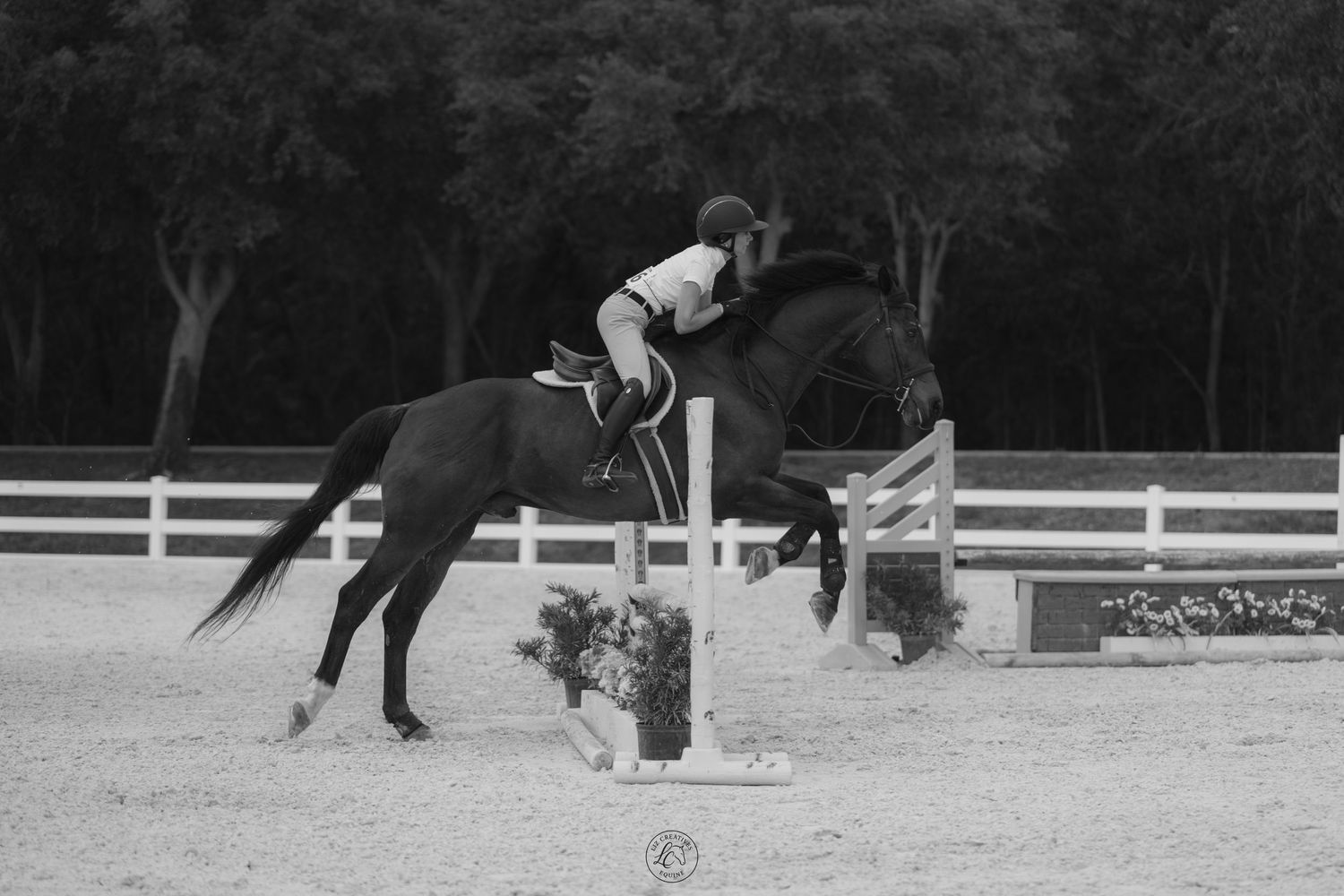 Black and white photo of a horse and rider jumping over a fence in an equestrian show jumping event.