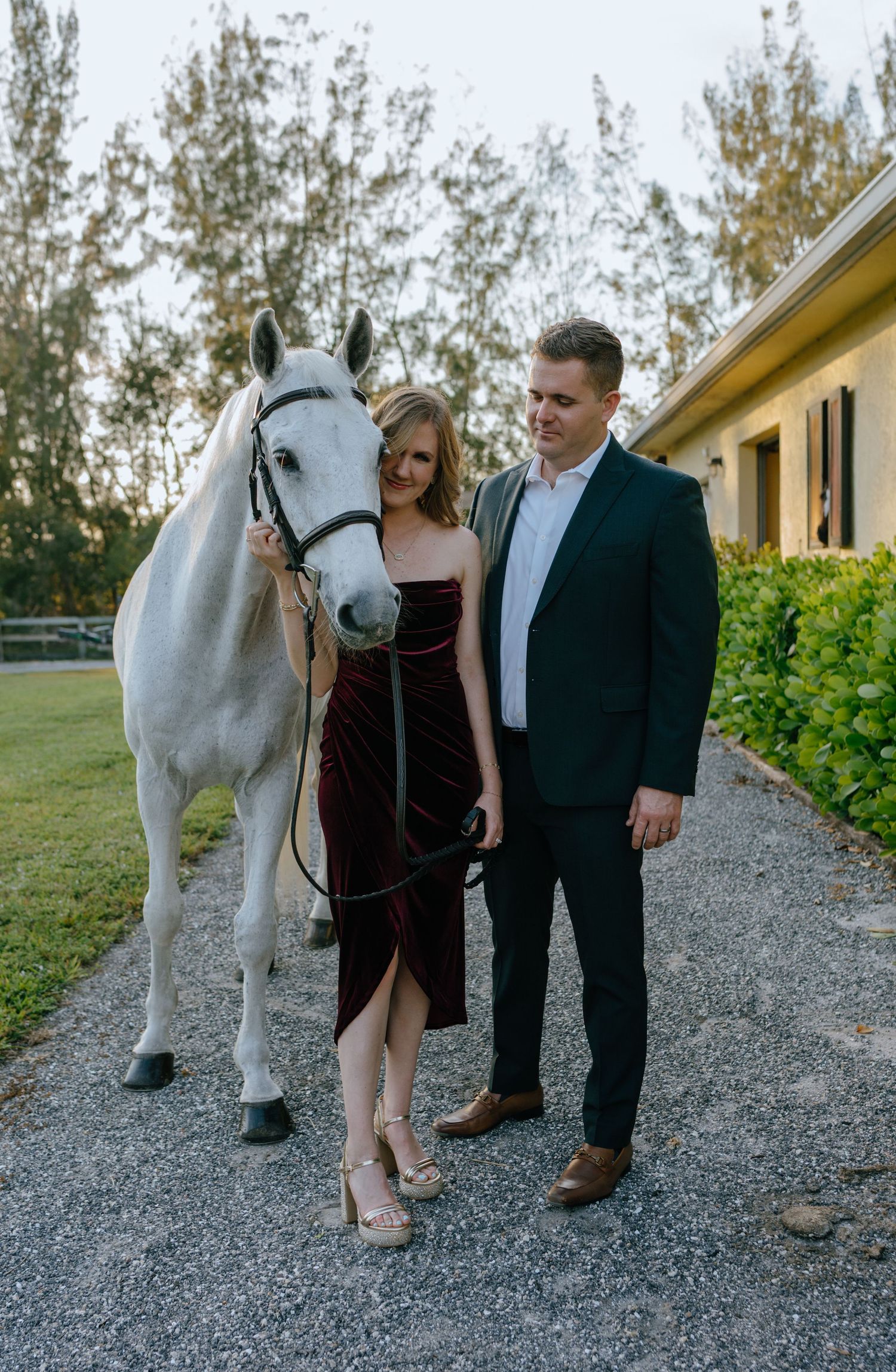 Engaged couple posing with white horse on gravel path near stables surrounded by lush greenery.