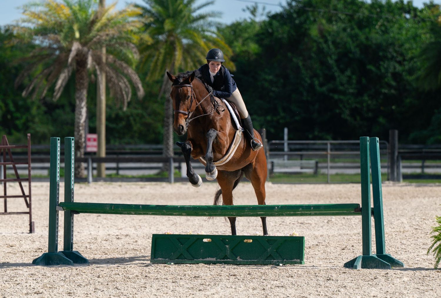 Equestrian rider on chestnut horse jumping over green hurdle in outdoor show jumping competition.