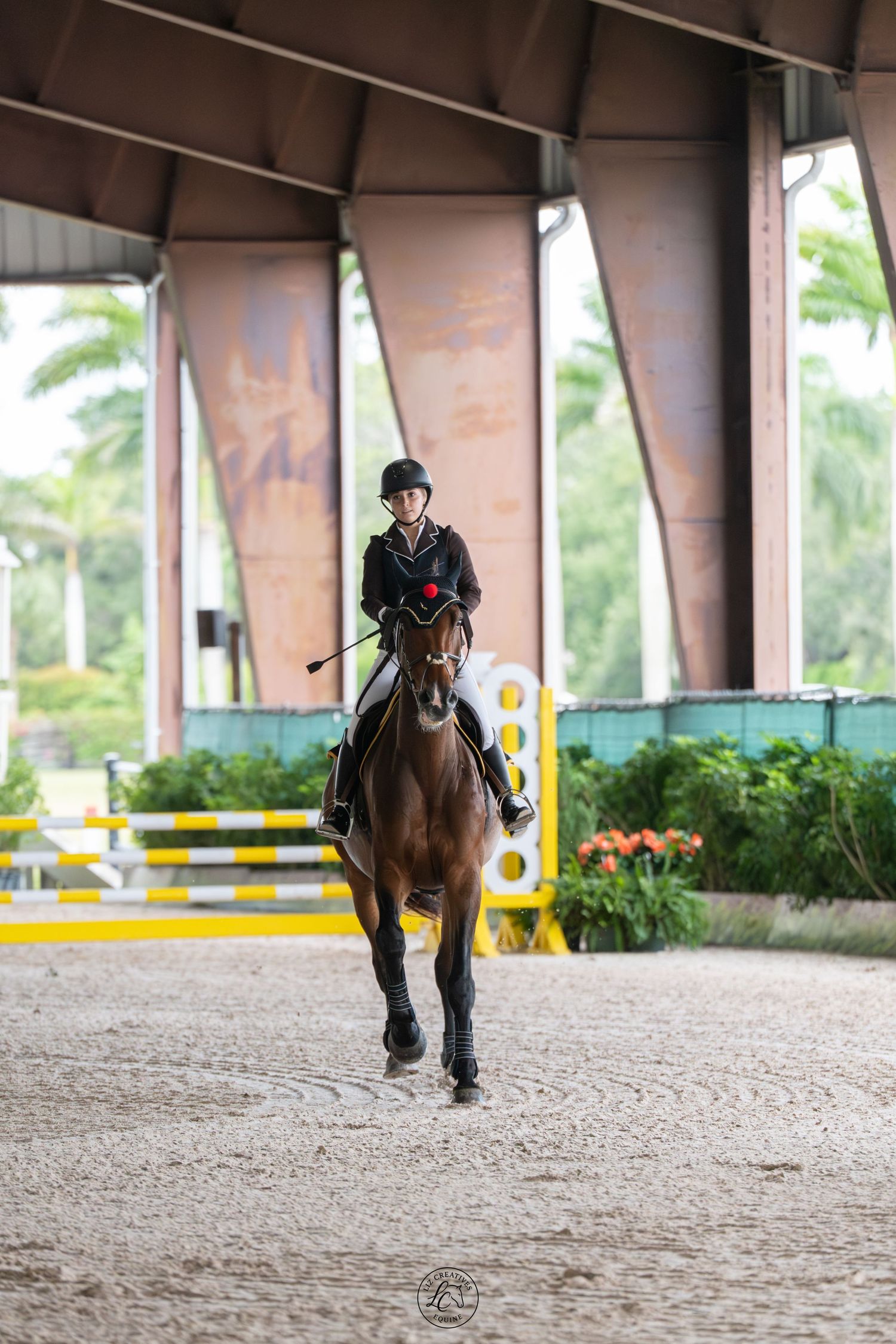 Equestrian rider in black helmet and jacket riding a bay horse in an outdoor sand arena with colorful jumps.
