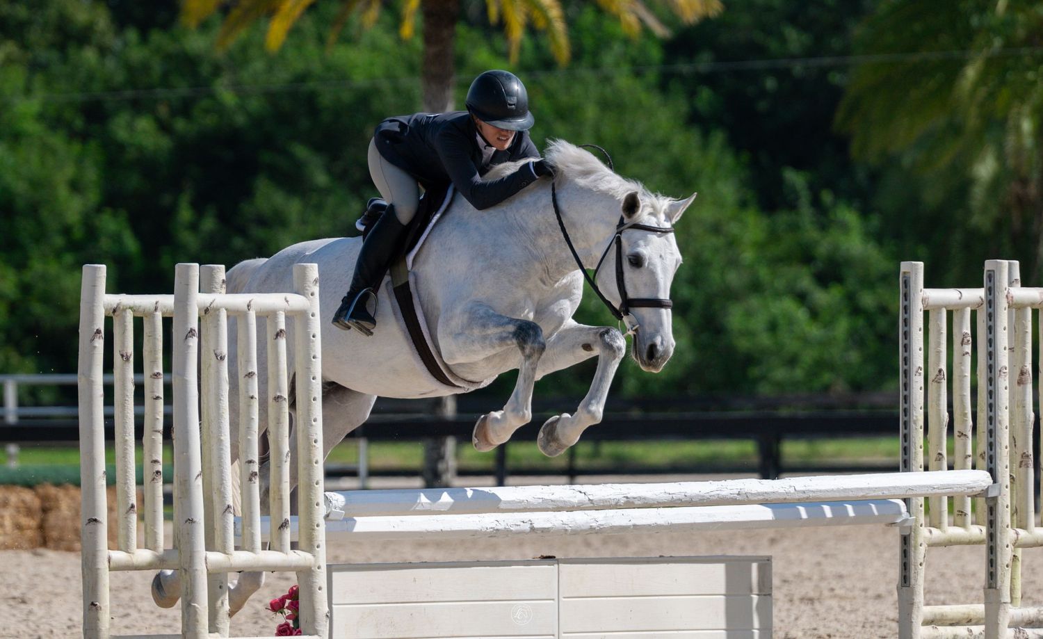Rider in black helmet jumping a gray horse over a white fence obstacle in an equestrian show jumping competition.