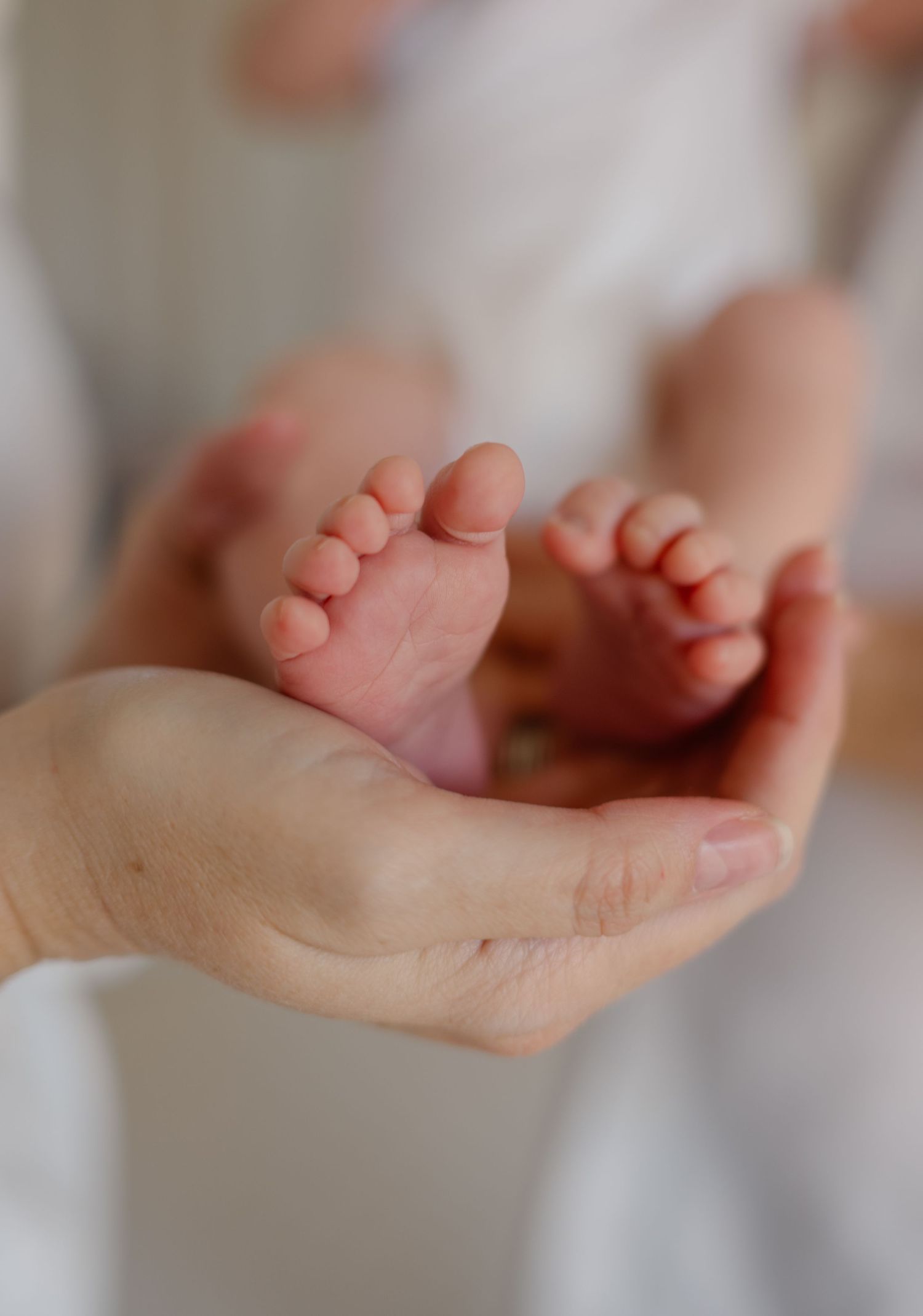 Parent cradling tiny newborn baby feet in their hands against a soft background.