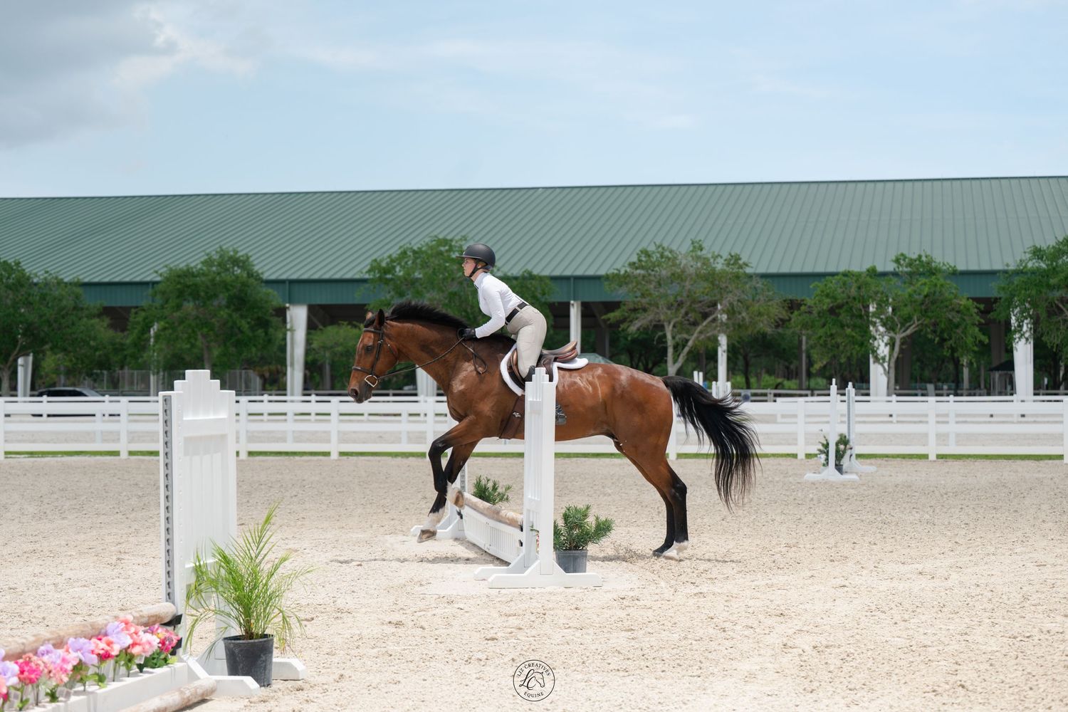 Rider on a bay horse clearing a white jump obstacle in a sunny outdoor show jumping competition arena.