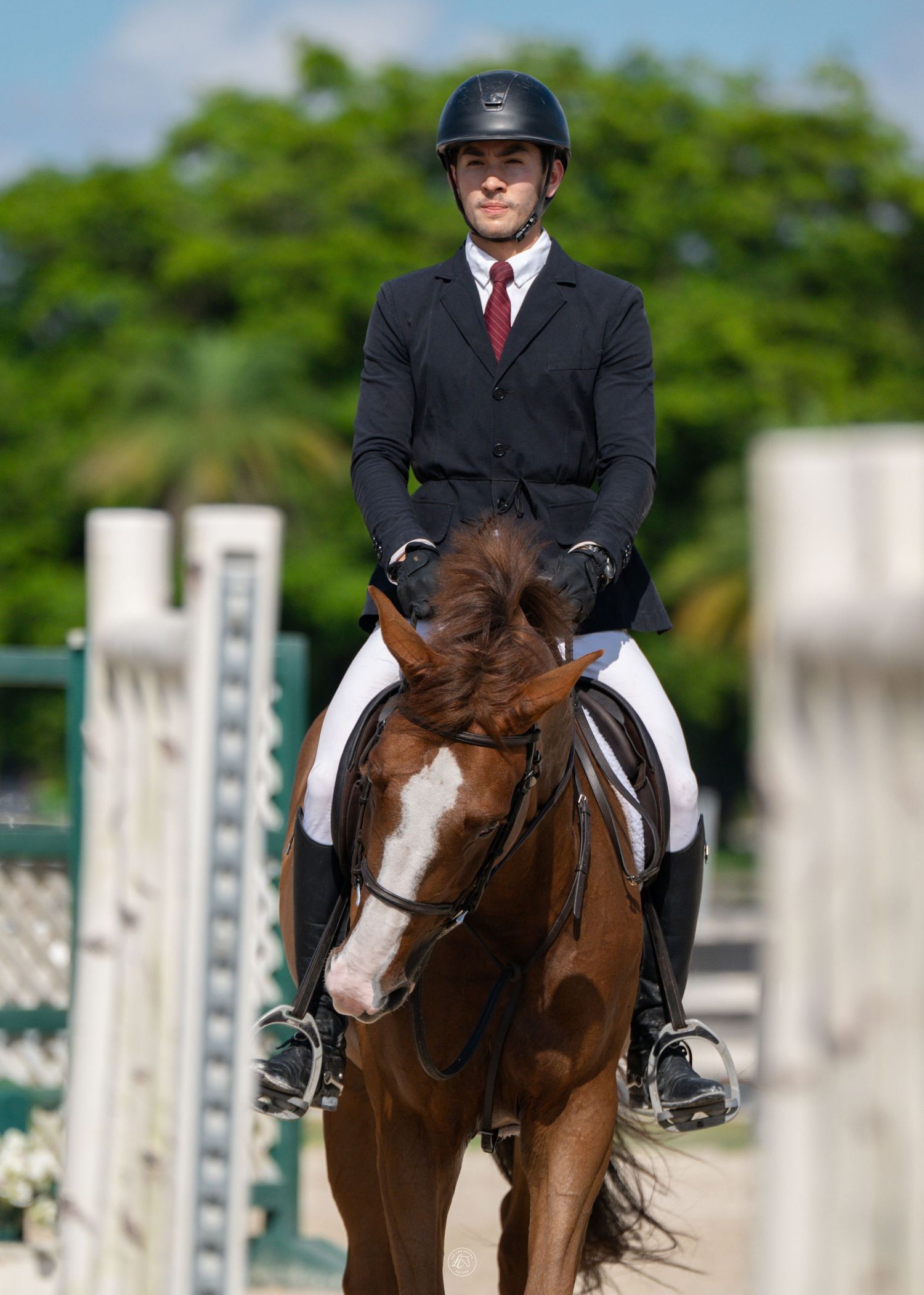 Equestrian rider in black jacket and helmet on chestnut horse at outdoor show jumping competition.