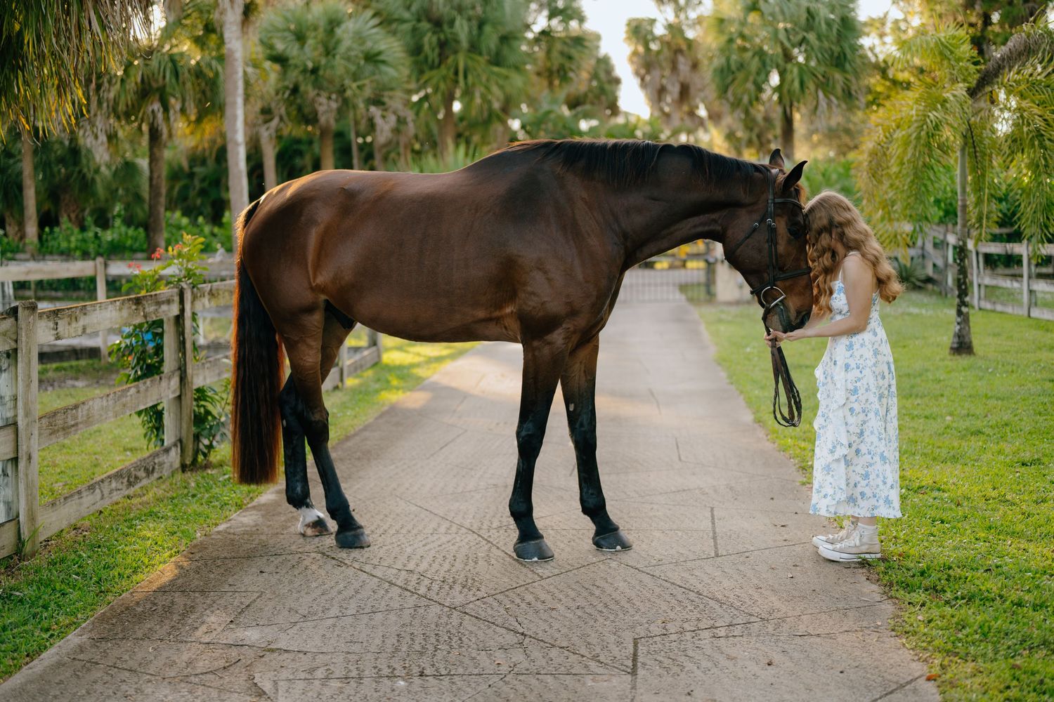 Girl in floral sundress stands face to face with dark bay horse on stable path.
