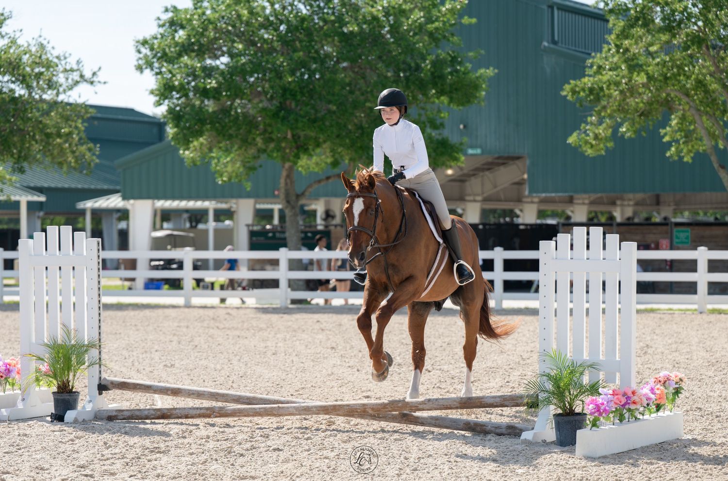 Young equestrian rider jumping chestnut horse over colorful show jump in white-fenced outdoor arena.