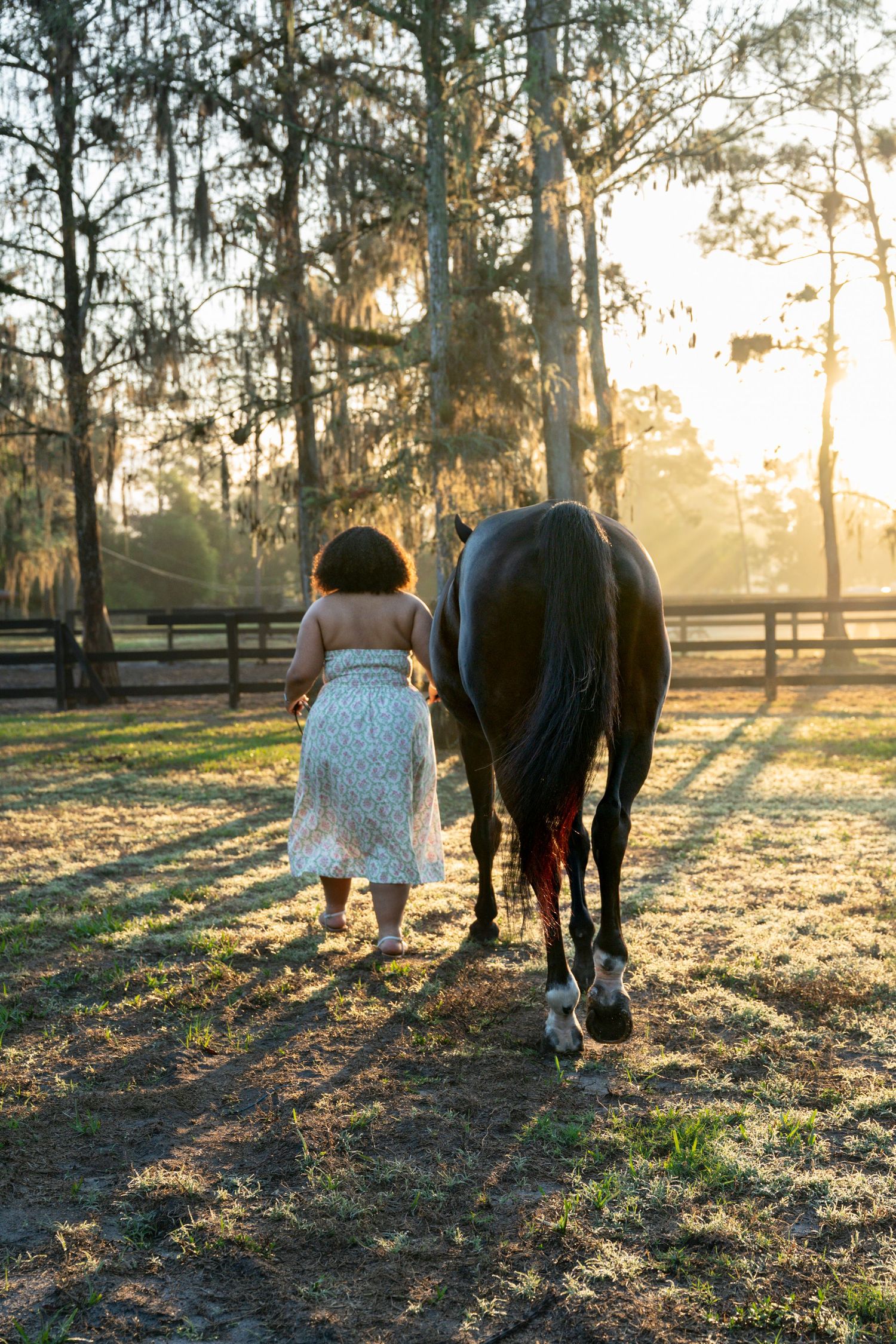 Woman in floral dress walks a dark horse toward glowing sunset light in a tree-lined paddock.