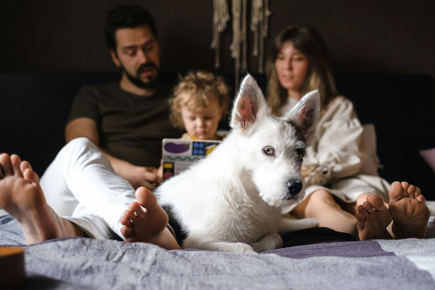 Jerome, Arizona parents tickling toddlers in their home, golden tones, photographed as timeless memories by a luxury photographer.
