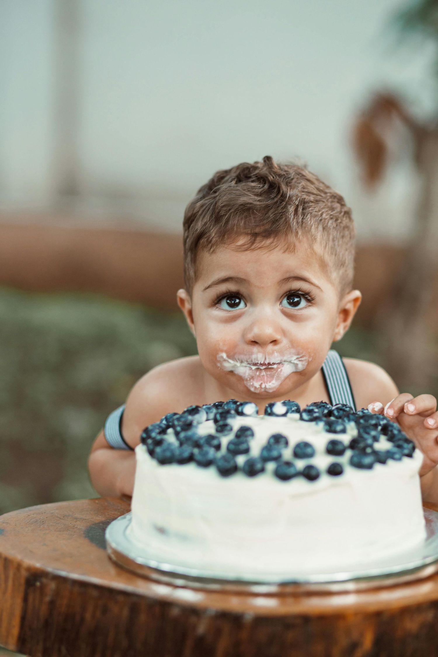 Gilbert Arizona Close-up sequence of a cake smash with white frosting and blueberries on a wooden surface.